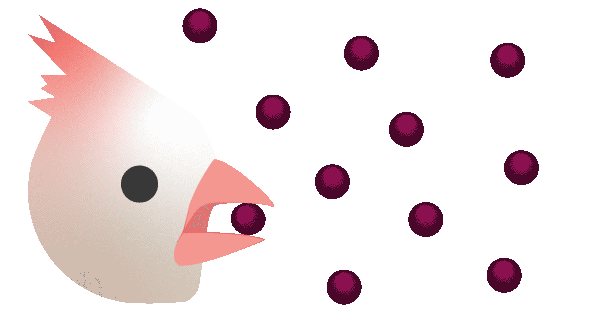 Cartoon-like cardinal eating berries