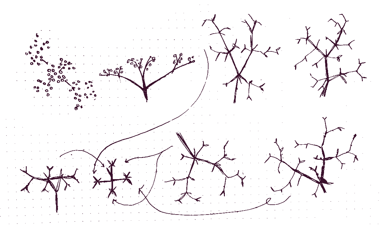 Hand-drawn sketches of elderberries